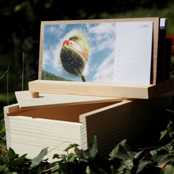 Der immerwährende Kalender